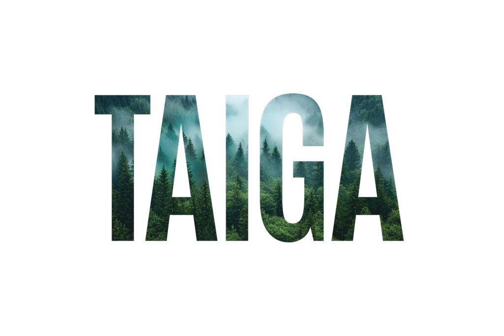 Victoria Choral Society presents Enns' Taiga concert image